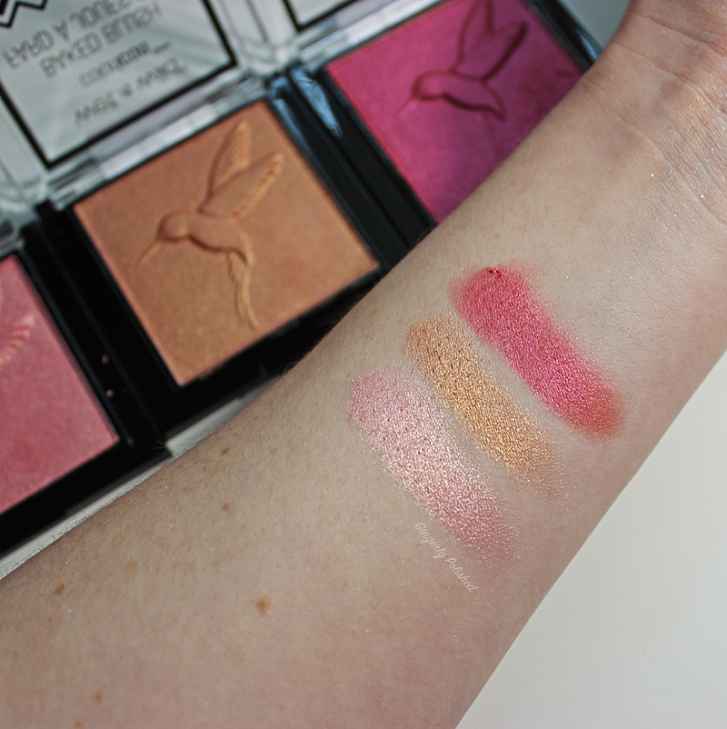 Blushes-Swatch